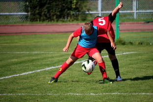 九游网页版官网-中国足球俱乐部与国际学校合作开展足球课程，国内足球培训基地