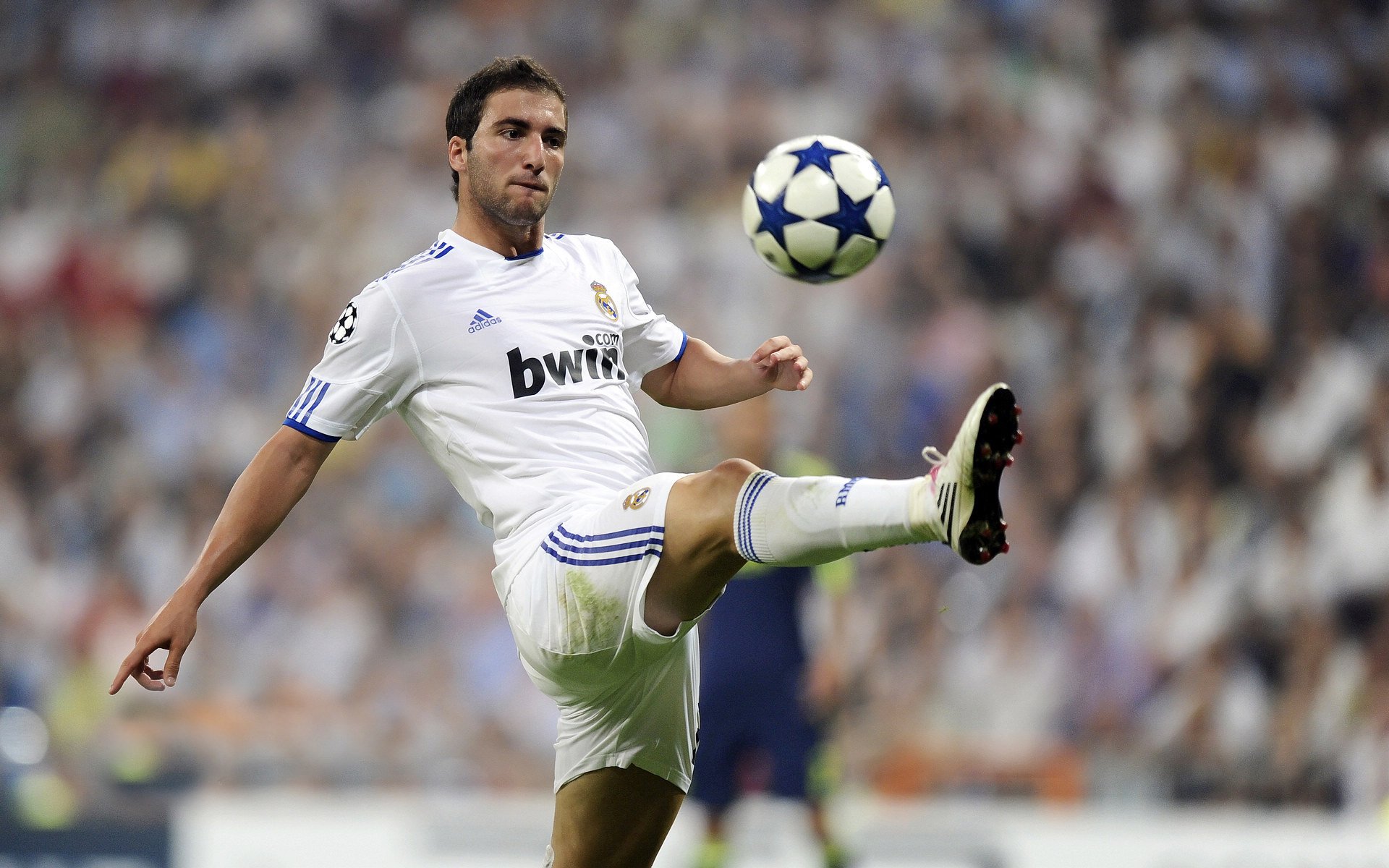 九游娱乐(jiuyou)官方网站-丹·卡特：改变世界橄榄球踢球方式的全黑队传奇人物，丹麦橄榄球